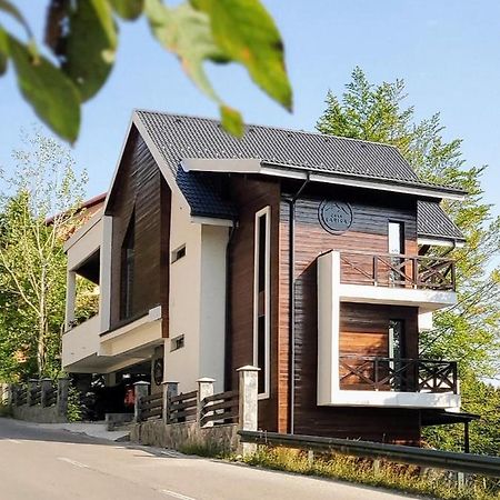 Casa Larisa Antonia Apartments 시나이아 외부 사진