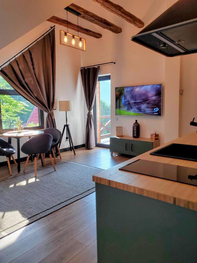 Casa Larisa Antonia Apartments 시나이아 외부 사진