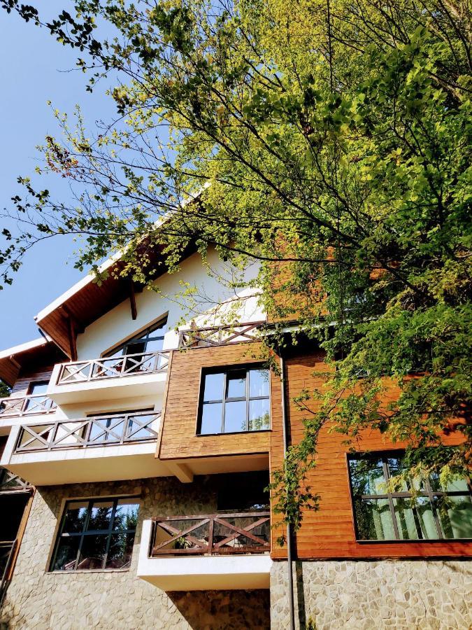 Casa Larisa Antonia Apartments 시나이아 외부 사진