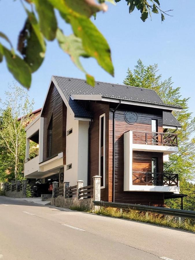 Casa Larisa Antonia Apartments 시나이아 외부 사진
